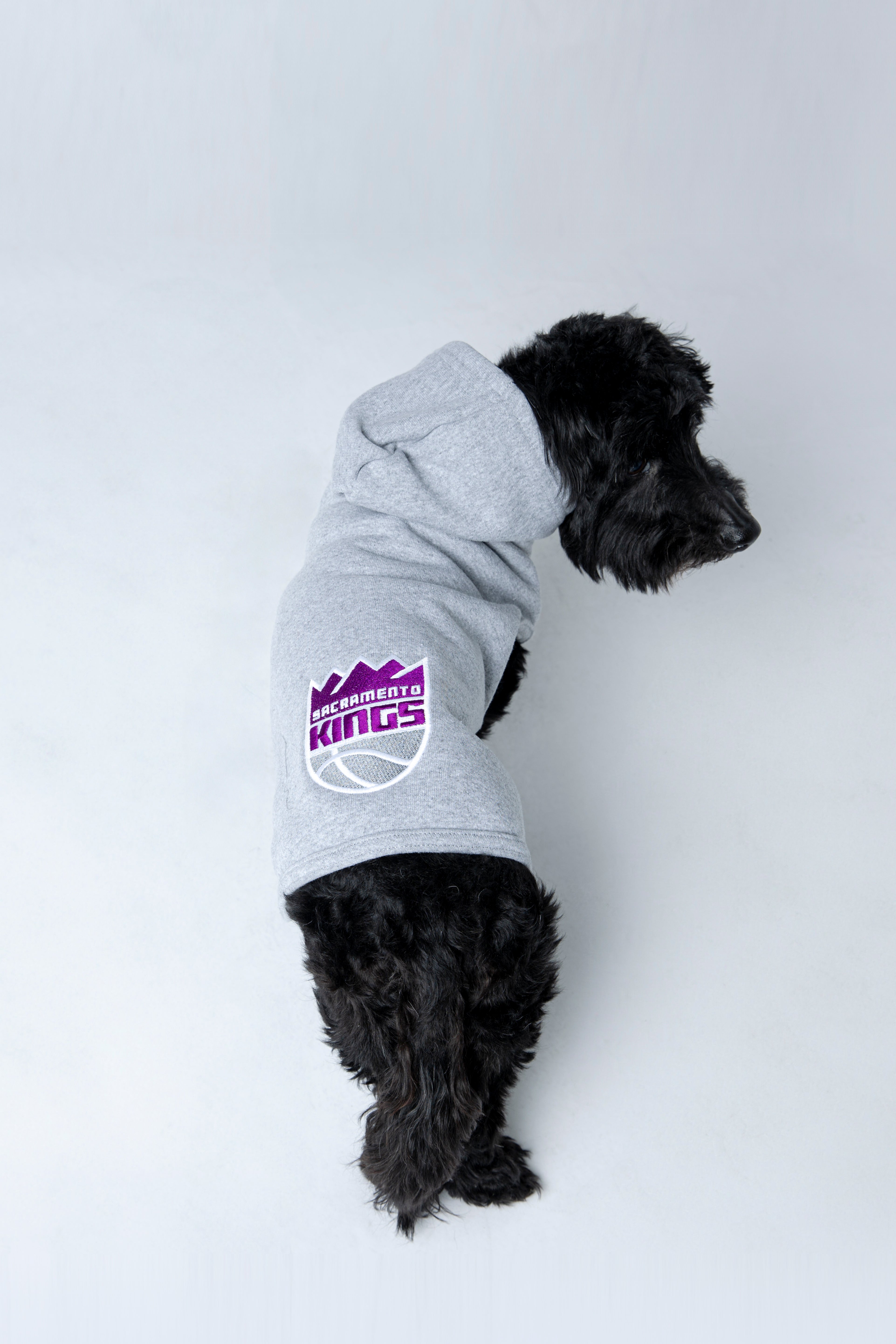 Primary Pet Hoodie