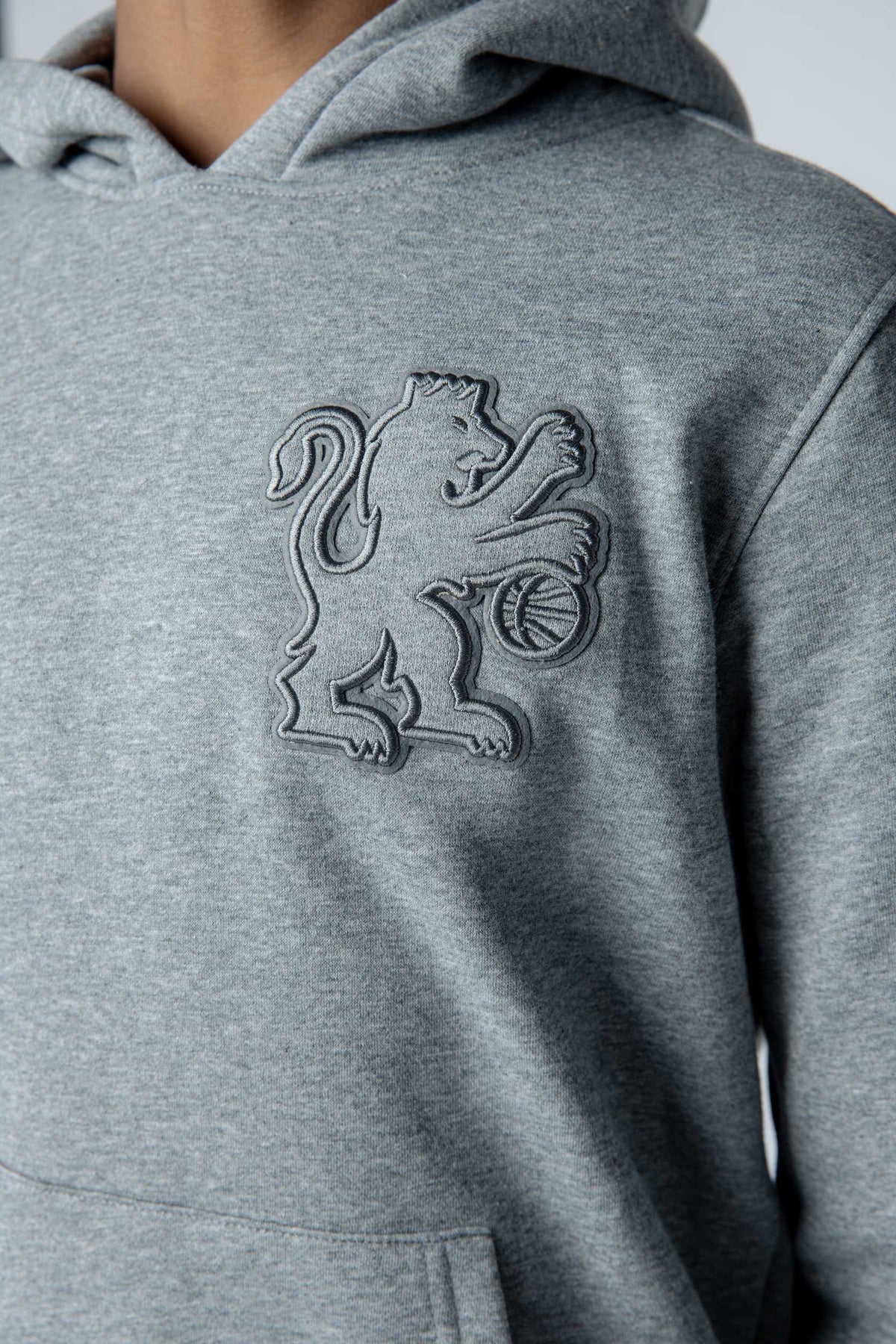 Youth Heralding Lion Tonal Fleece Hoodie